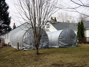 Tents in Back Yard