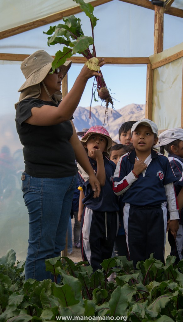 Schoolkids visiting our Demonstration and Training Center (CEA) on the outskirts of Cochabamba, and learning about agriculture with Mano a Mano's agronomist Camila in September 2013.