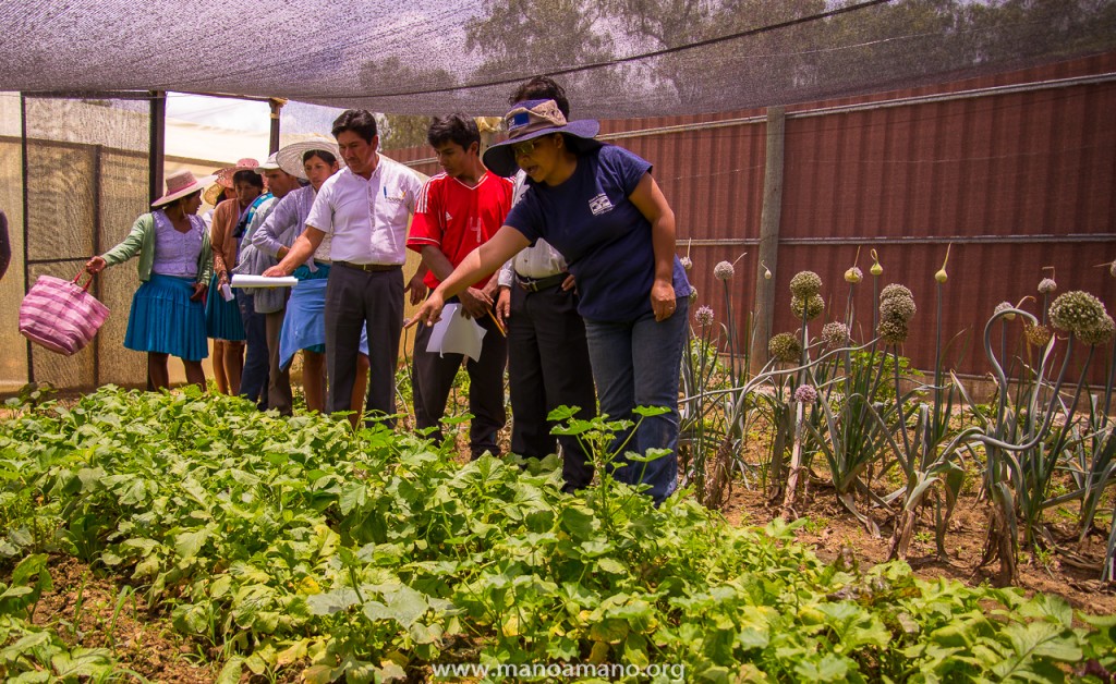 Mano a Mano engineer Camilia Yavira discusses growing vegetables in semi-shade with community leaders from Lapiani. January 18, 2016.
