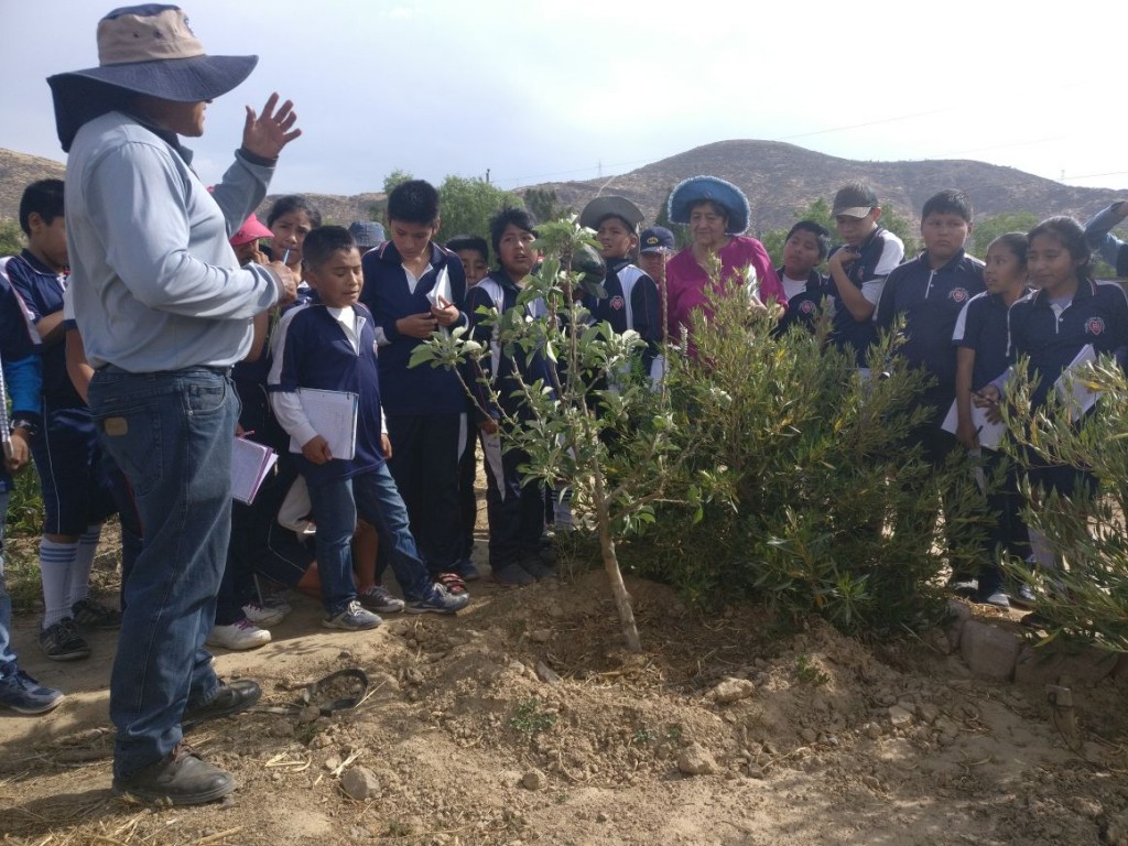 Mano a Mano Agronomist Victor showing students the difference between apples and peaches in the fruit orchard at the CEA.